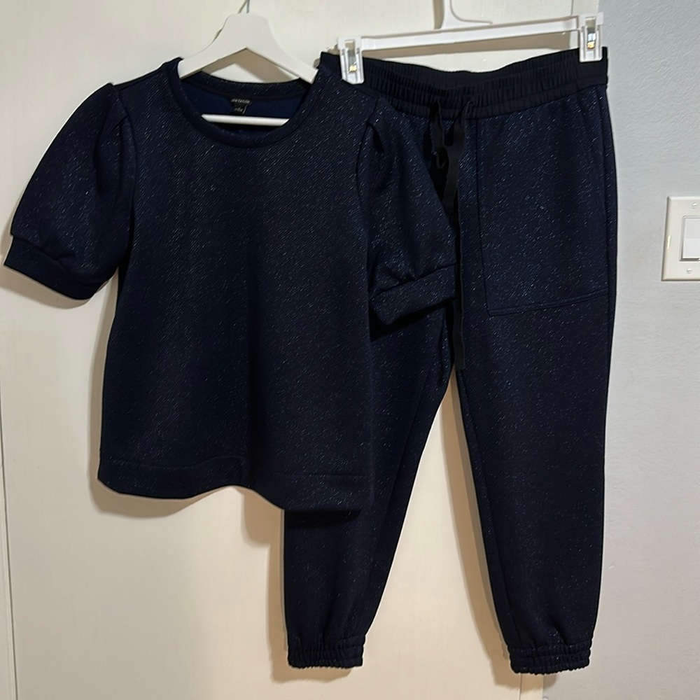 Ann Taylor shimmery set, size S.